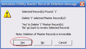Metadata Utility – Messages - Delete Master Records